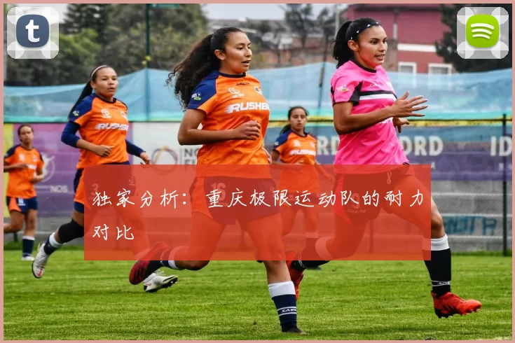 独家分析：重庆极限运动队的耐力对比