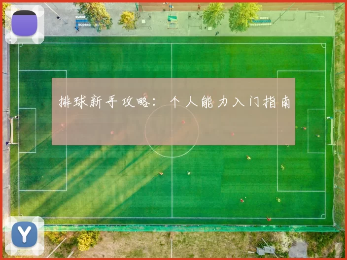 排球新手攻略：个人能力入门指南