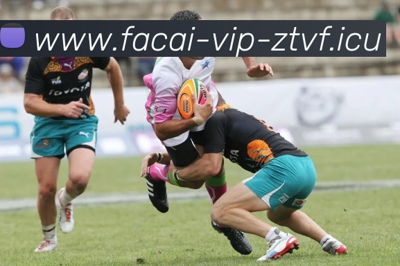 乐鱼体育服务体系